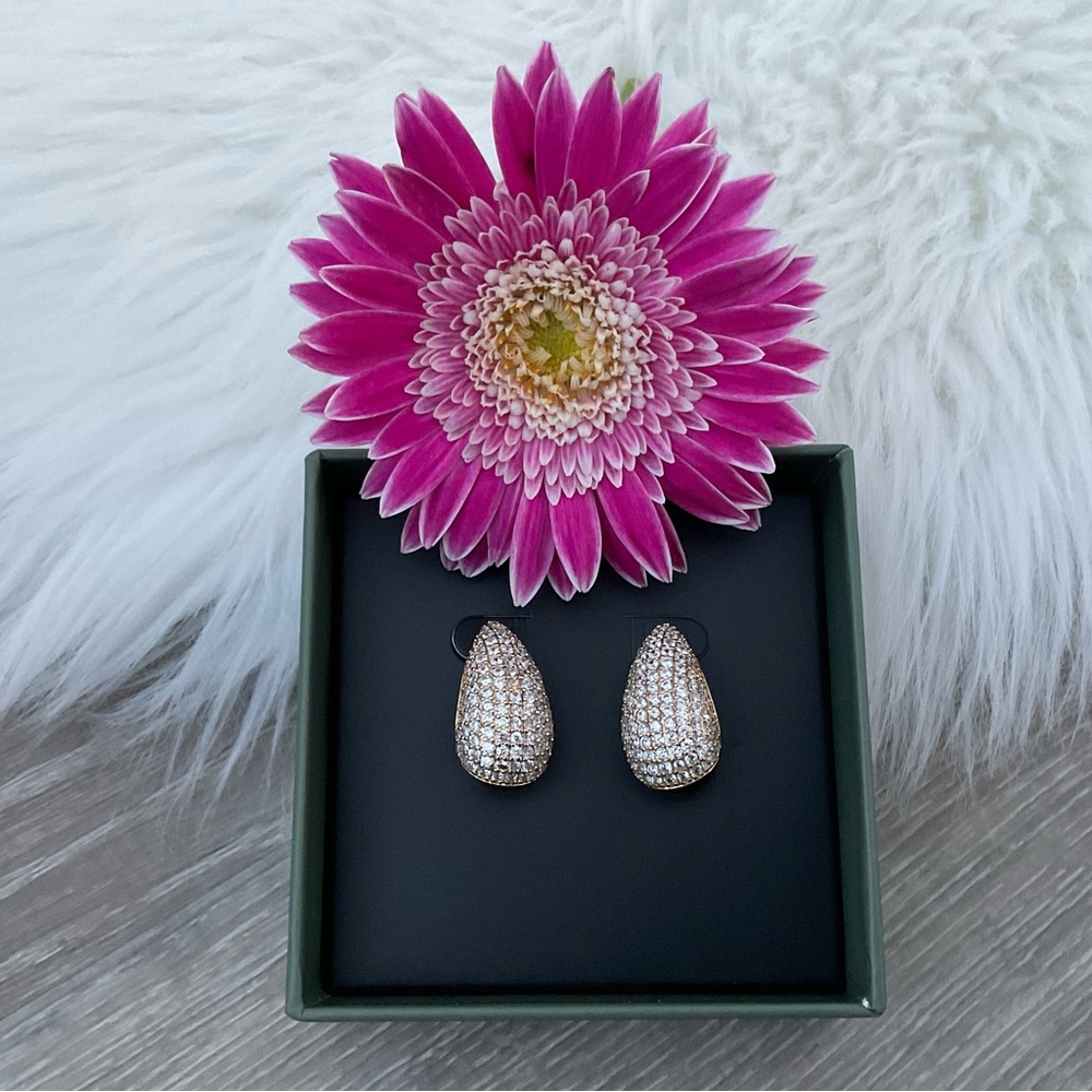 🩷 JEWELS BY SUNAINA Narnia Studs